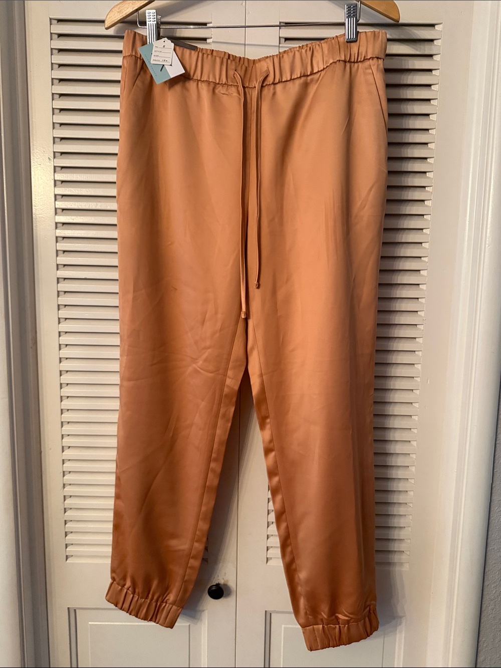 Women silk Jogger Pants - Rust